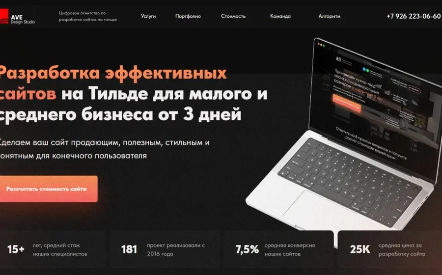 Разработка сайтов (веб-студия)