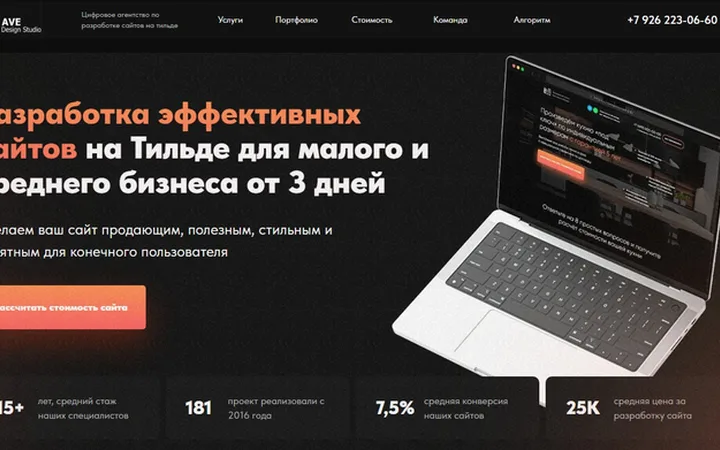 Разработка сайтов (веб-студия)